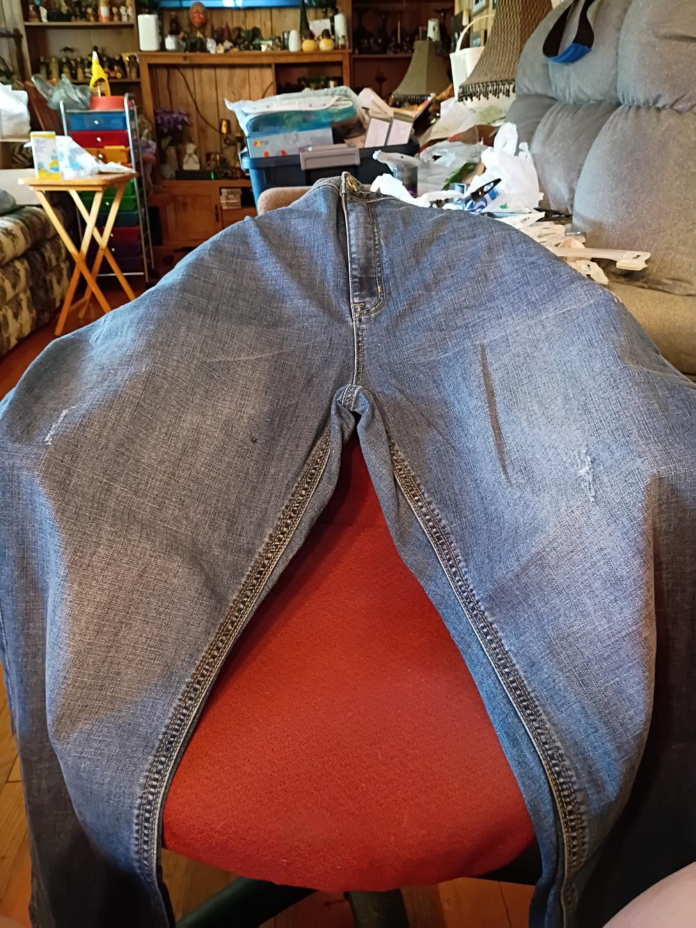 Melissa McCarthy Seven Boot Jean